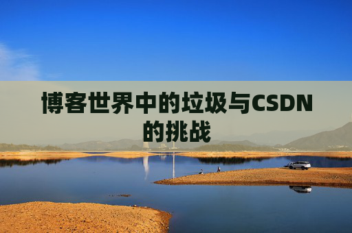 博客世界中的垃圾与CSDN的挑战